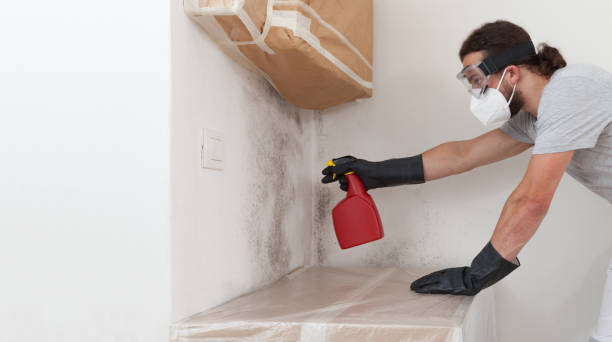 Professional Crawl Space Mold Removal technician working in Johnstown, NY