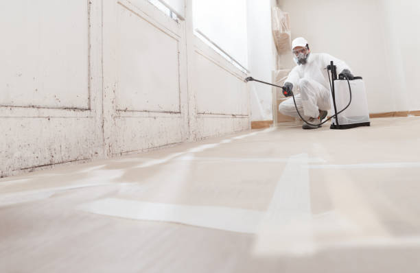 24/7 Emergency Crawl Space Mold Removal experts in Johnstown, NY