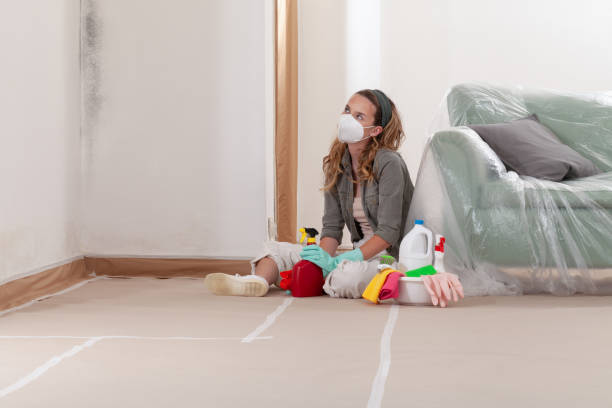 Reliable Crawl Space Mold Removal contractor in Johnstown, NY by WQB Mold Removal